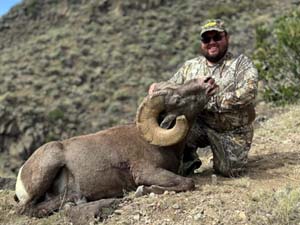 New Mexico Rocky Mountain Bighorn Sheep Success