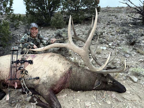 Nevada Archery Bull 2025