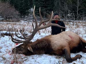 The Elk Lord comes through for us again